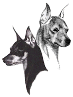 Heads